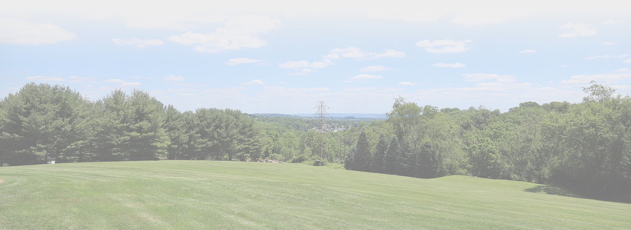 View from Edgewood