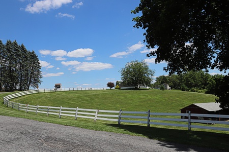 View from Edgewood